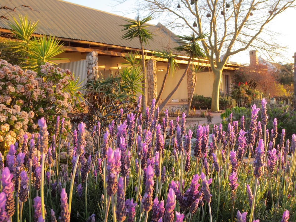 Masada Guest House Langebaan Eksteriør bilde